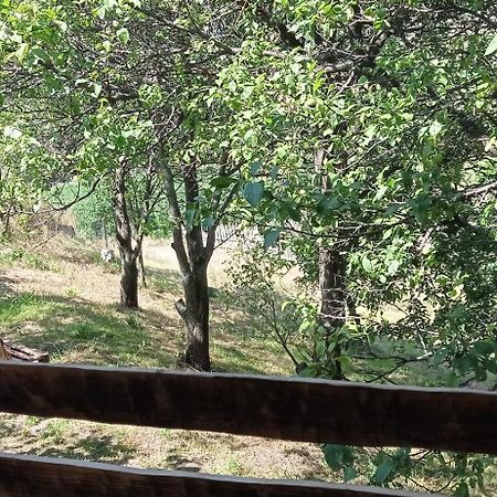 Mesxta Hotel Nakalakevi Bagian luar foto