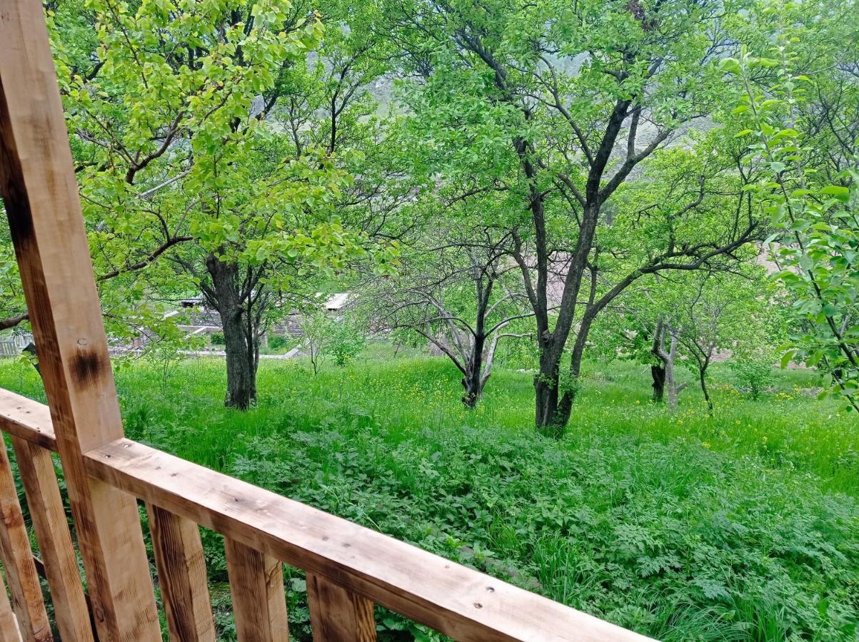 Mesxta Hotel Nakalakevi Bagian luar foto