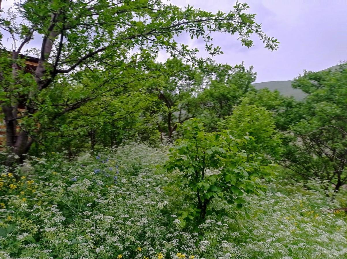 Mesxta Hotel Nakalakevi Bagian luar foto