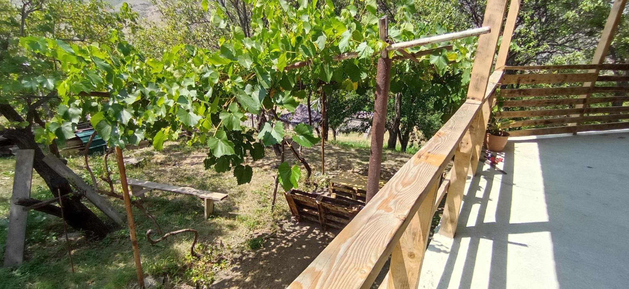 Mesxta Hotel Nakalakevi Bagian luar foto