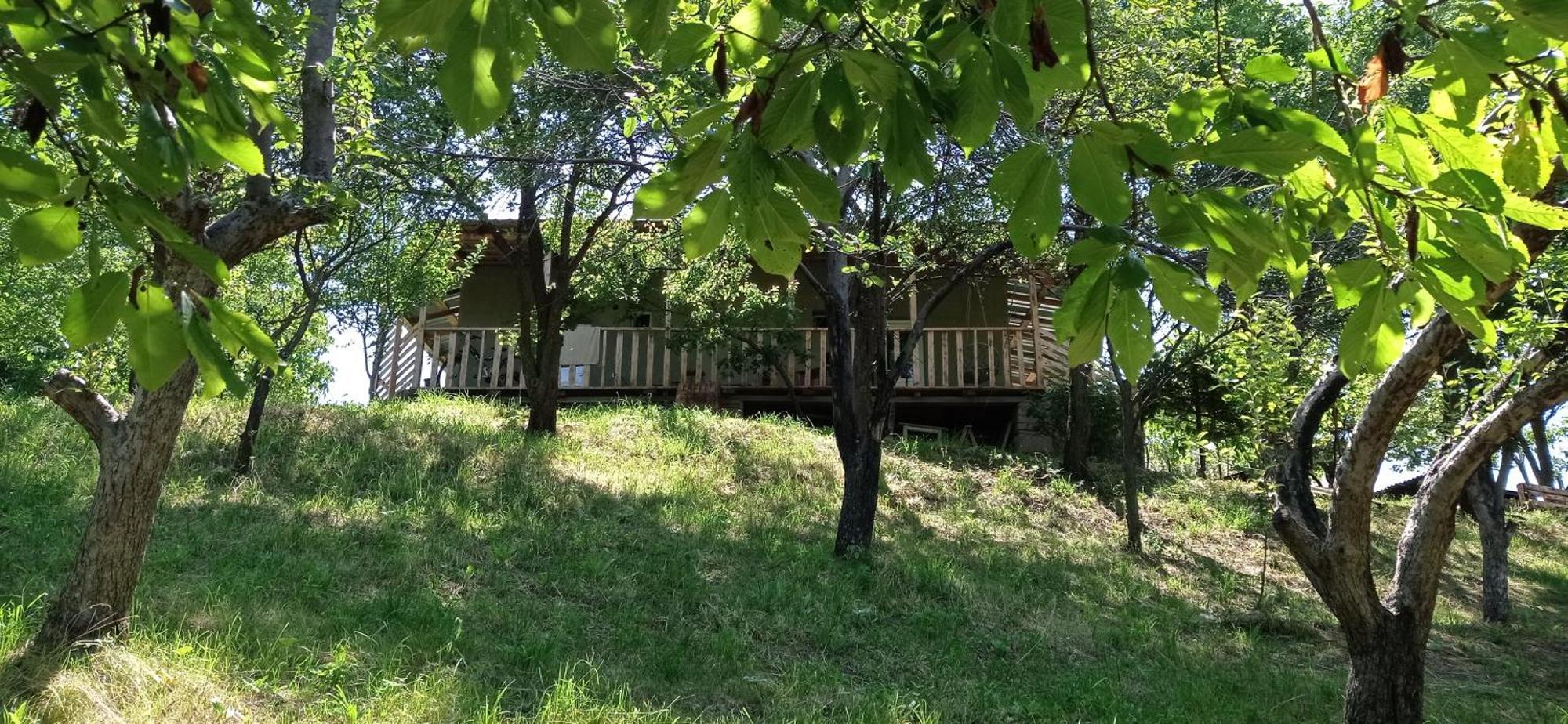 Mesxta Hotel Nakalakevi Bagian luar foto