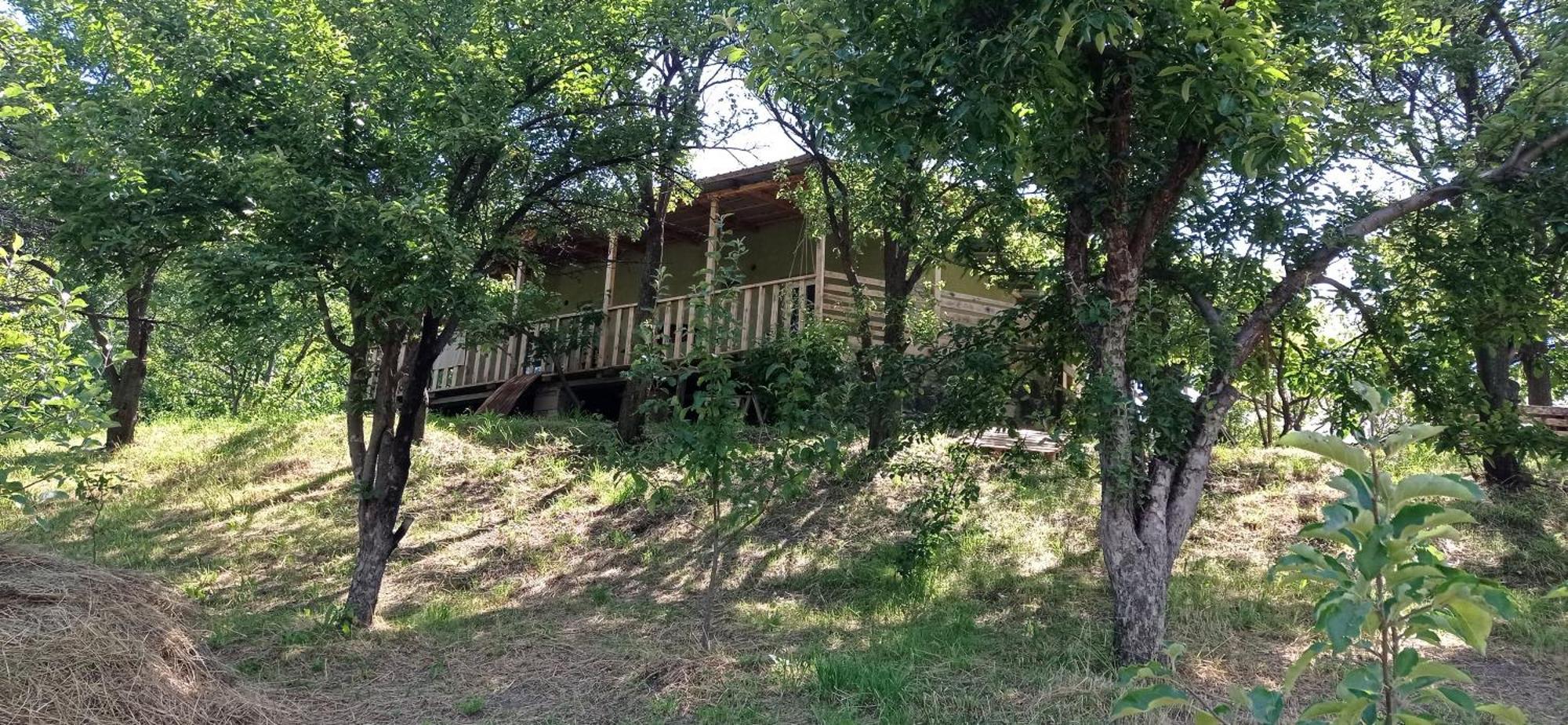 Mesxta Hotel Nakalakevi Bagian luar foto