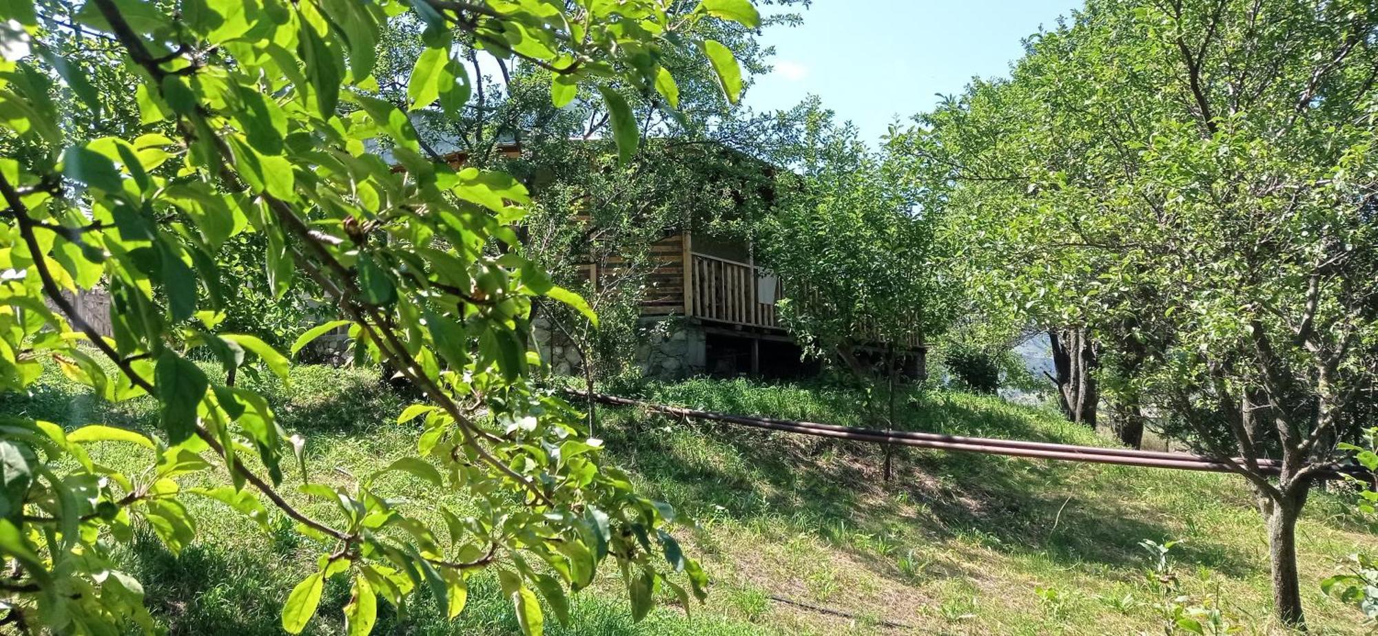 Mesxta Hotel Nakalakevi Bagian luar foto