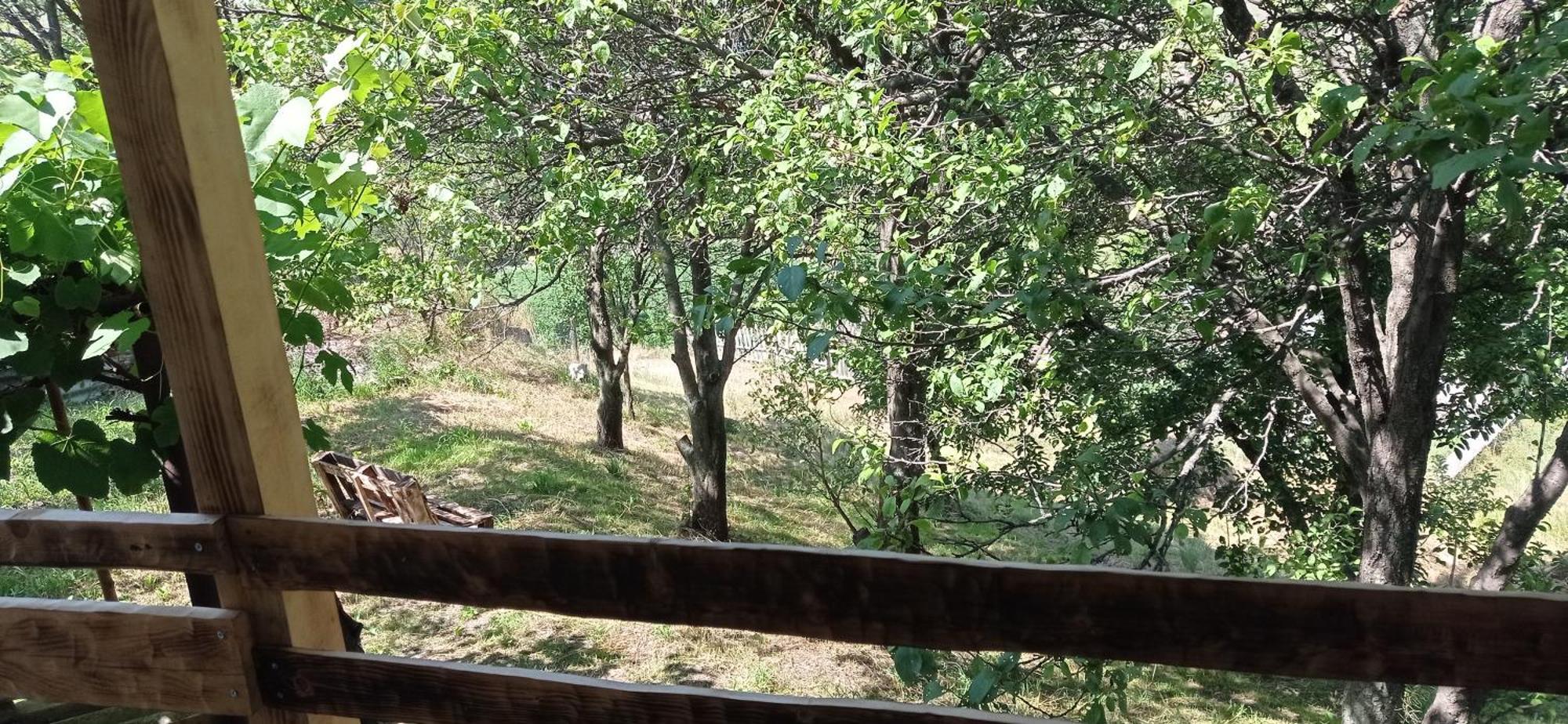 Mesxta Hotel Nakalakevi Bagian luar foto