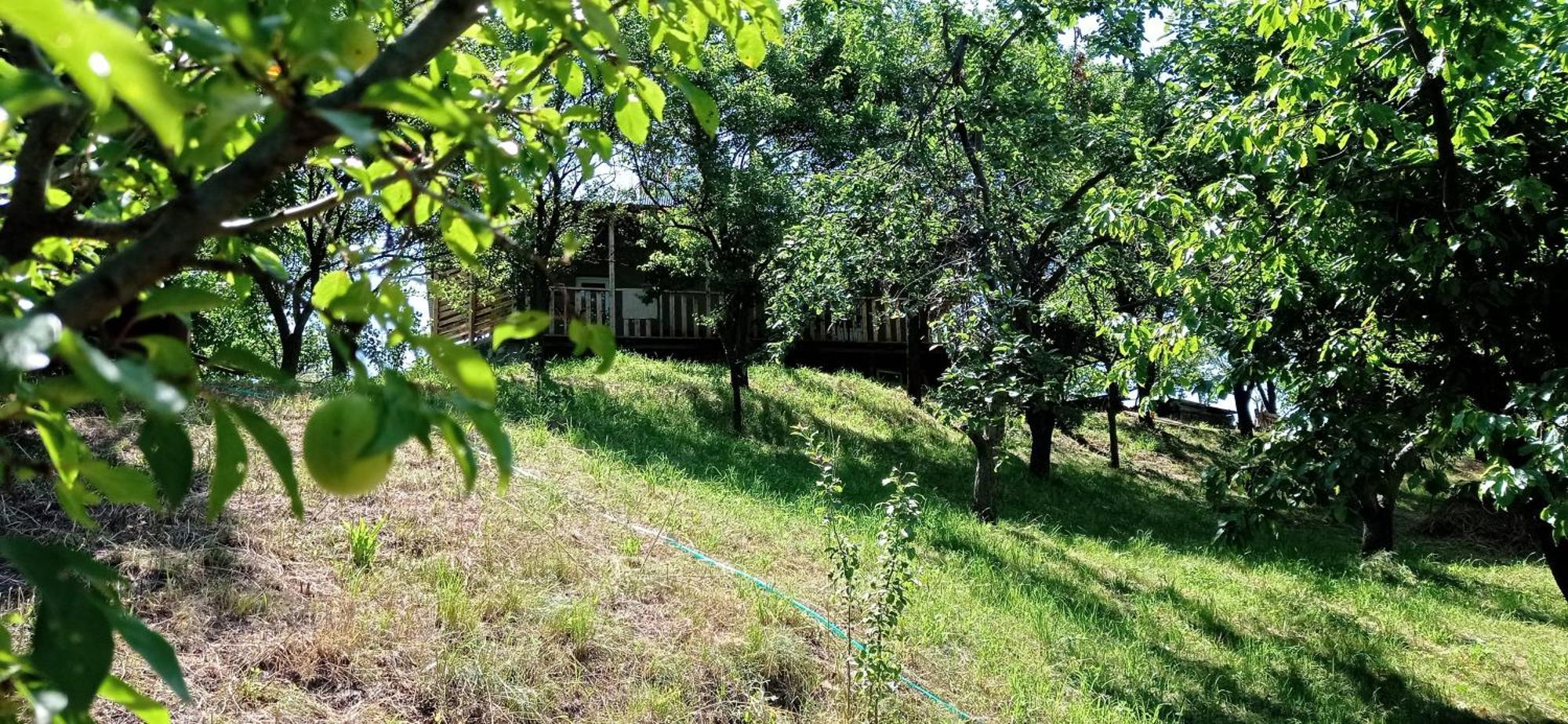 Mesxta Hotel Nakalakevi Bagian luar foto