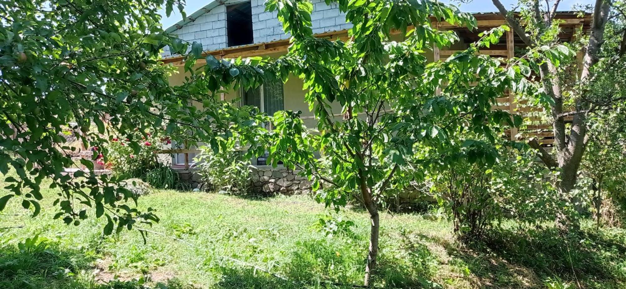 Mesxta Hotel Nakalakevi Bagian luar foto